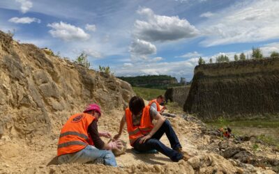 Nieuwe zoektocht naar fossielen in de ENCI-groeve, natuurgebied Sint-Pietersberg, te Maastricht