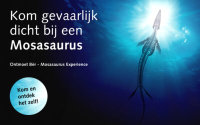 11 meter lang Mosasaurus skelet bij Natuurhistorisch Museum Maastricht