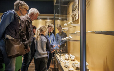 Groen licht voor vernieuwingsplan Natuurhistorisch Museum Maastricht